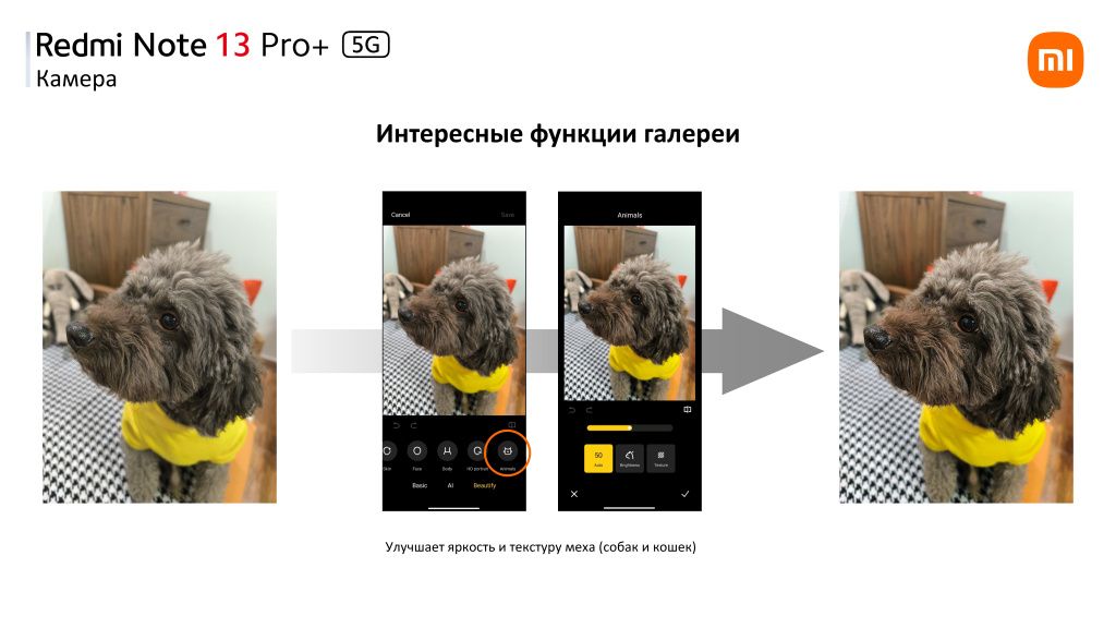 Функции галереи